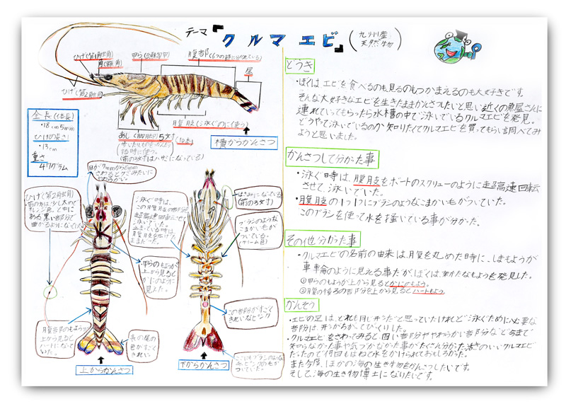 海とさかな 自由研究 作品コンクール 第40回 海とさかな 自由研究 作品コンクールは わたしたちに身近な 海とさかな をテーマに作品を募集します 児童のみなさんが作品づくりを通して 海の豊かさや海洋生物の不思議な生態 日本の 魚食文化の素晴らしさに気づく 海とさかな 自由研究 作品コンクール 第40回 海とさかな 自由研究 作品コンクールは わたしたちに身近な 海とさかな をテーマに作品を募集します 児童のみなさんが作品づくりを通して 海の豊かさや海洋生物の不思議な生態 日本の 魚食文化の素晴らしさに気づく