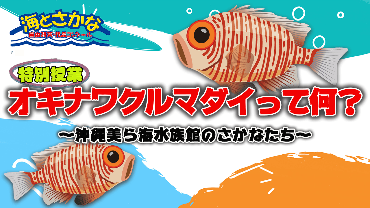 特別授業『沖縄美ら海水族館のさかなたち』<br>〜オキナワクルマダイ編〜公開中！