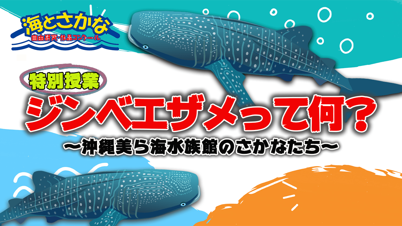 特別授業『沖縄美ら海水族館のさかなたち』<br>〜ジンベエザメ編〜公開中！