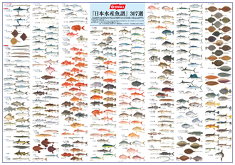 抽選『日本水産魚譜307選』ポスタープレゼント！