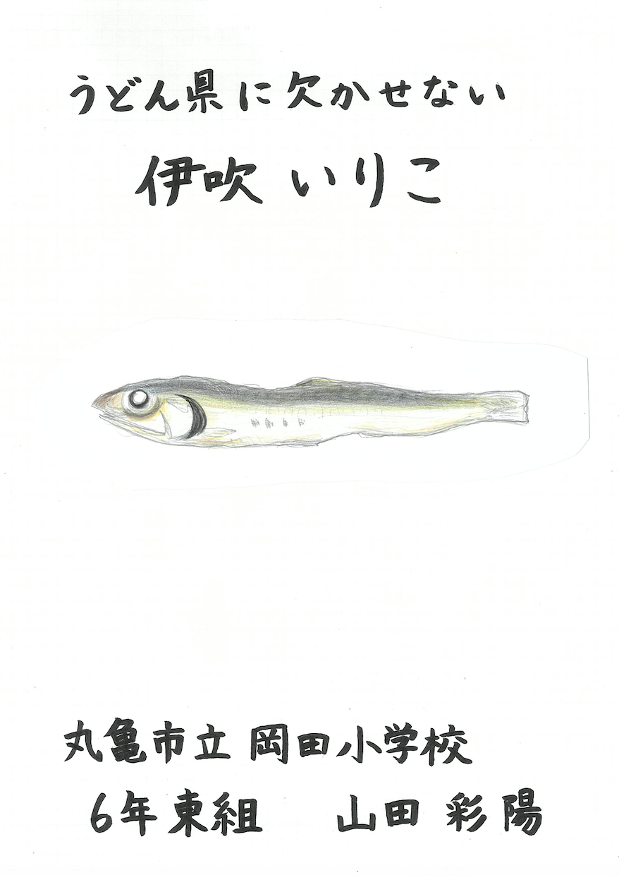 海とさかな 自由研究 作品コンクール 第41回 海とさかな 自由研究 作品コンクールは わたしたちに身近な 海とさかな をテーマに作品を募集します 児童のみなさんが作品づくりを通して 海の豊かさや海洋生物の不思議な生態 日本の魚食文化の素晴らしさに気づく