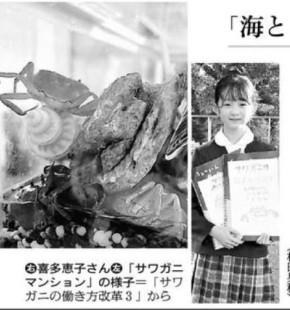 朝日新聞  東京B版掲載（12月17日付）
